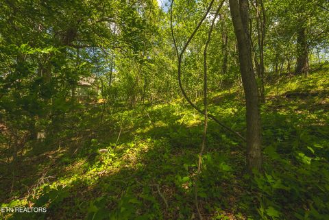 Tiny photo for 491 Magnolia Lane, Sharps Chapel, TN 37866 (MLS # 1338469)