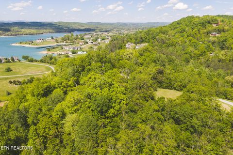 Tiny photo for 491 Magnolia Lane, Sharps Chapel, TN 37866 (MLS # 1338469)