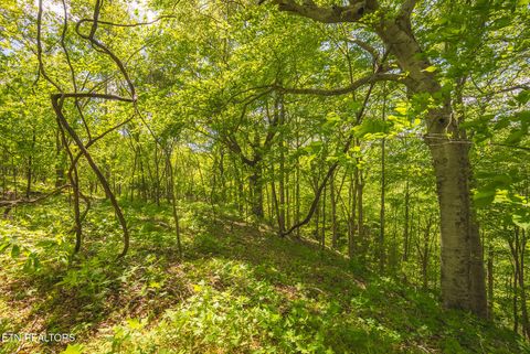 Tiny photo for 491 Magnolia Lane, Sharps Chapel, TN 37866 (MLS # 1338469)