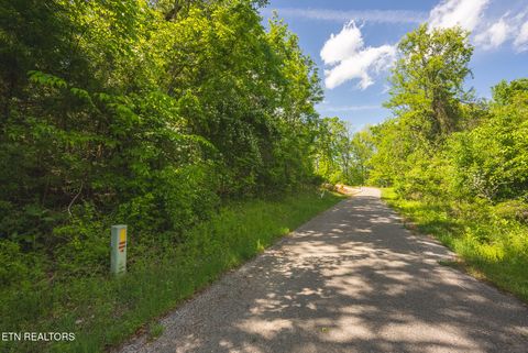 Tiny photo for 491 Magnolia Lane, Sharps Chapel, TN 37866 (MLS # 1338469)