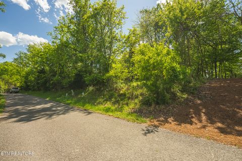 Tiny photo for 491 Magnolia Lane, Sharps Chapel, TN 37866 (MLS # 1338469)