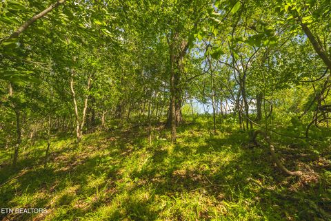 Tiny photo for 491 Magnolia Lane, Sharps Chapel, TN 37866 (MLS # 1338469)