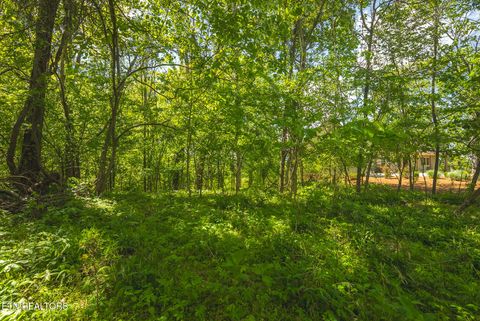 Tiny photo for 491 Magnolia Lane, Sharps Chapel, TN 37866 (MLS # 1338469)