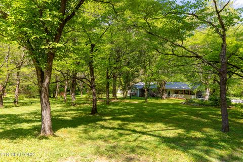 Tiny photo for 4527 E Scenic Drive, Gatlinburg, TN 37738 (MLS # 1328686)