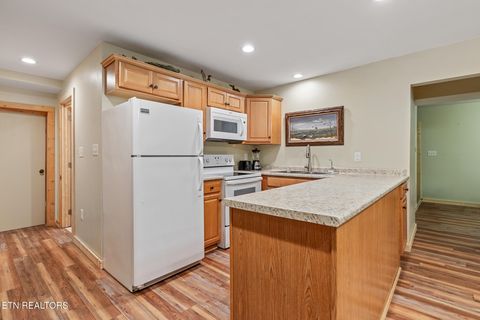 Tiny photo for 4527 E Scenic Drive, Gatlinburg, TN 37738 (MLS # 1328686)