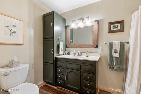 Tiny photo for 4527 E Scenic Drive, Gatlinburg, TN 37738 (MLS # 1328686)