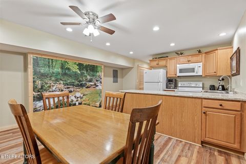 Tiny photo for 4527 E Scenic Drive, Gatlinburg, TN 37738 (MLS # 1328686)