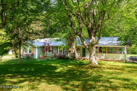 Tiny photo for 4527 E Scenic Drive, Gatlinburg, TN 37738 (MLS # 1328686)