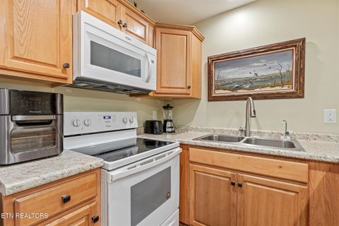 Tiny photo for 4527 E Scenic Drive, Gatlinburg, TN 37738 (MLS # 1328686)