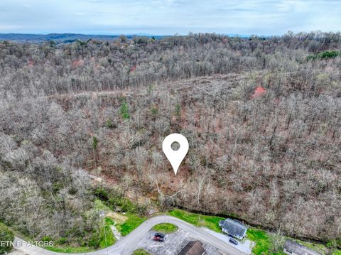 Tiny photo for Old Highway 70, Harriman, TN 37748 (MLS # 1333561)