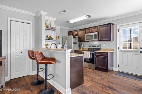 Tiny photo for 2476 Gibson Circle #1, Sevierville, TN 37876 (MLS # 1328394)