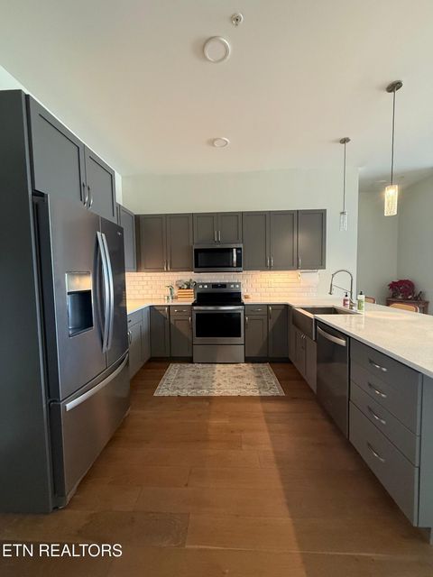 Tiny photo for 333 W Depot Ave #310, Knoxville, TN 37917 (MLS # 1327470)