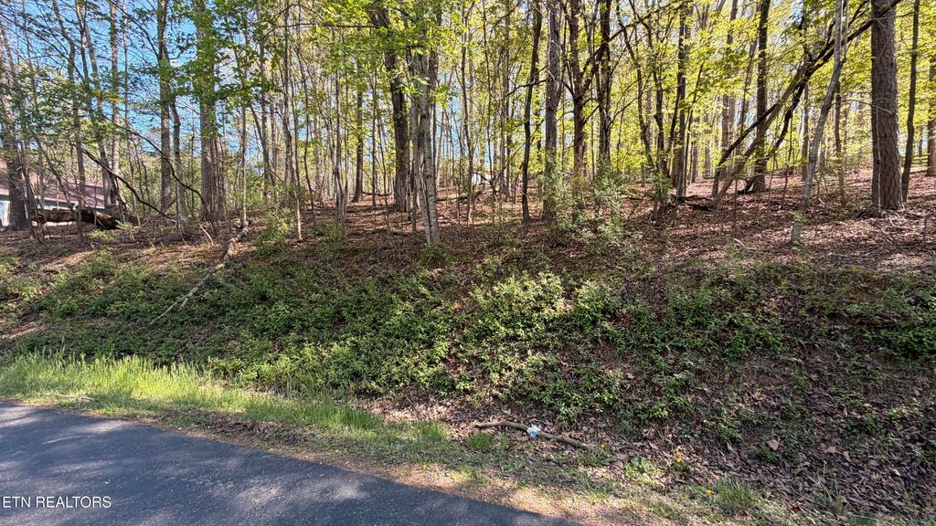 Photo of 280 Ootsima Way, Loudon, TN 37774 (MLS # 1336450)