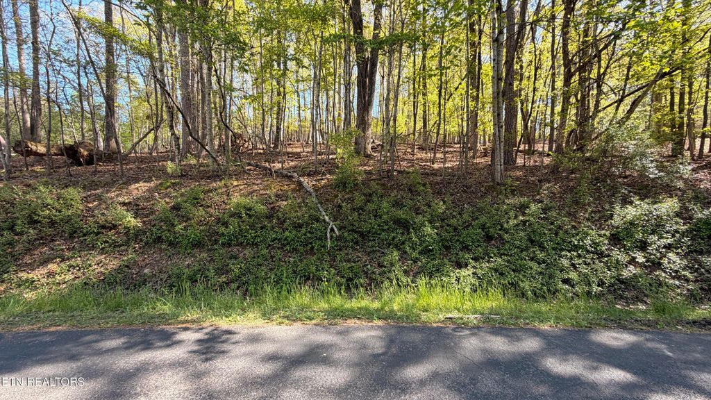 Photo of 280 Ootsima Way, Loudon, TN 37774 (MLS # 1336450)