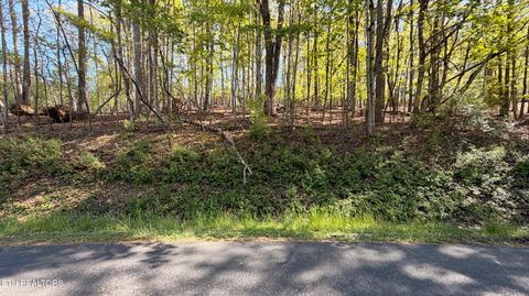 Photo of 280 Ootsima Way, Loudon, TN 37774 (MLS # 1336450)