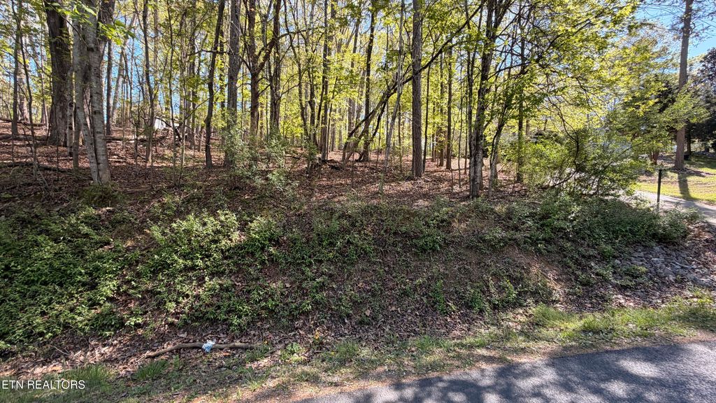Photo of 280 Ootsima Way, Loudon, TN 37774 (MLS # 1336450)