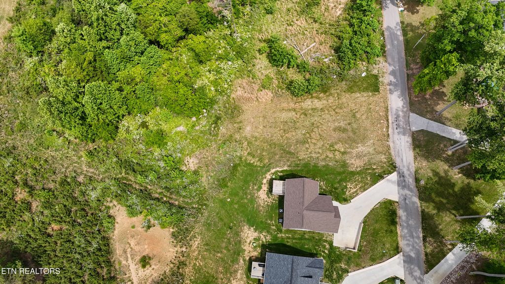 Photo of 1919 Lakewood Drive, Morristown, TN 37814 (MLS # 1342143)