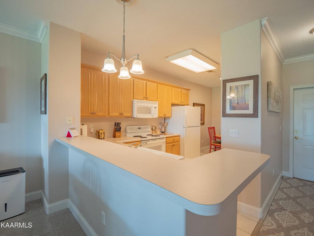 Photo of 565 Rarity Bay Pkwy #204, Vonore, TN 37885 (MLS # 1217371)