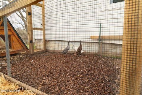 Tiny photo for 254 Mountain Rd, Luttrell, TN 37779 (MLS # 1332323)