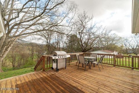 Tiny photo for 254 Mountain Rd, Luttrell, TN 37779 (MLS # 1332323)