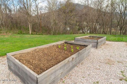 Tiny photo for 254 Mountain Rd, Luttrell, TN 37779 (MLS # 1332323)