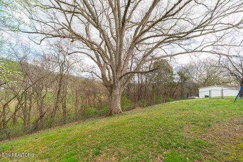 Tiny photo for 254 Mountain Rd, Luttrell, TN 37779 (MLS # 1332323)