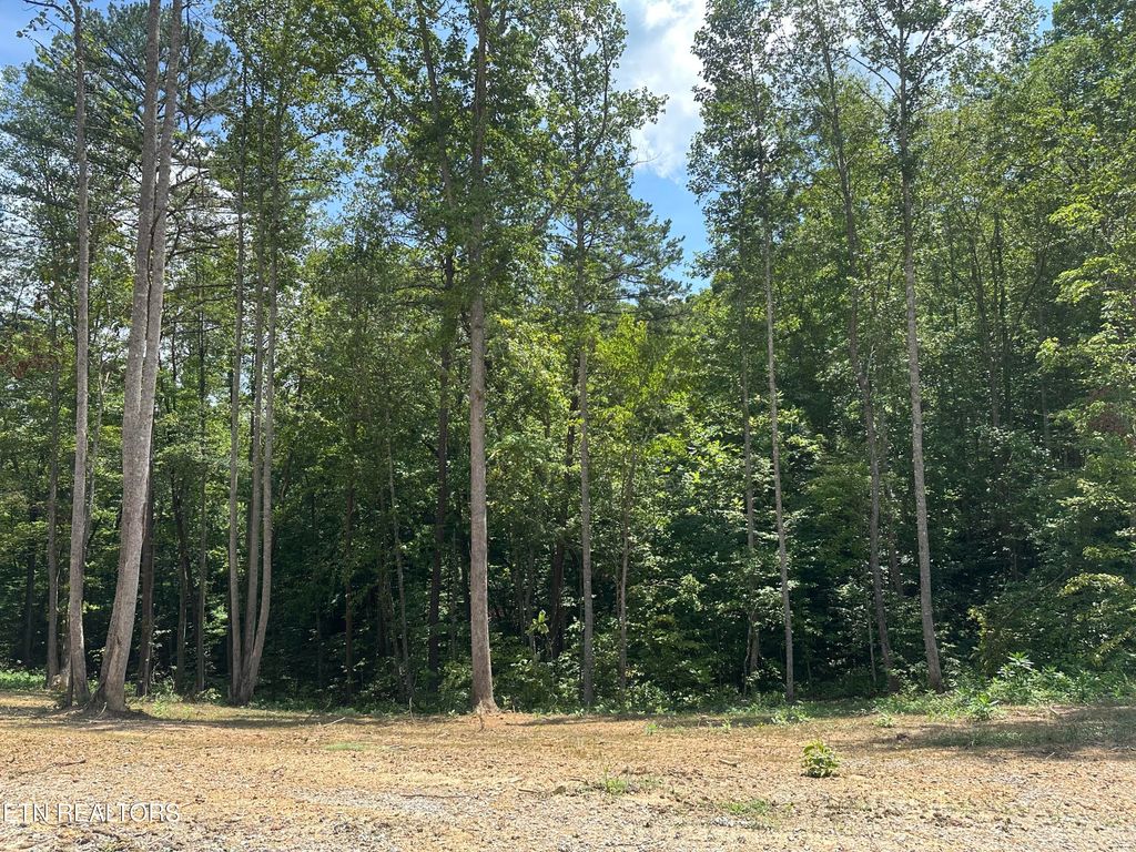 Photo of 143 Elk Ridge Lane, Pioneer, TN 37847 (MLS # 1309851)