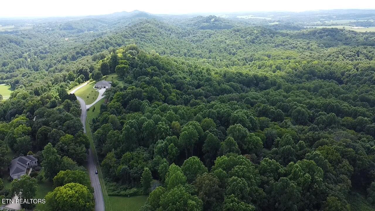 108 Unaka View