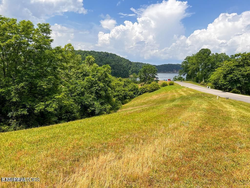 Photo of 2069 Turners Landing Rd, Russellville, TN 37860 (MLS # 1245941)