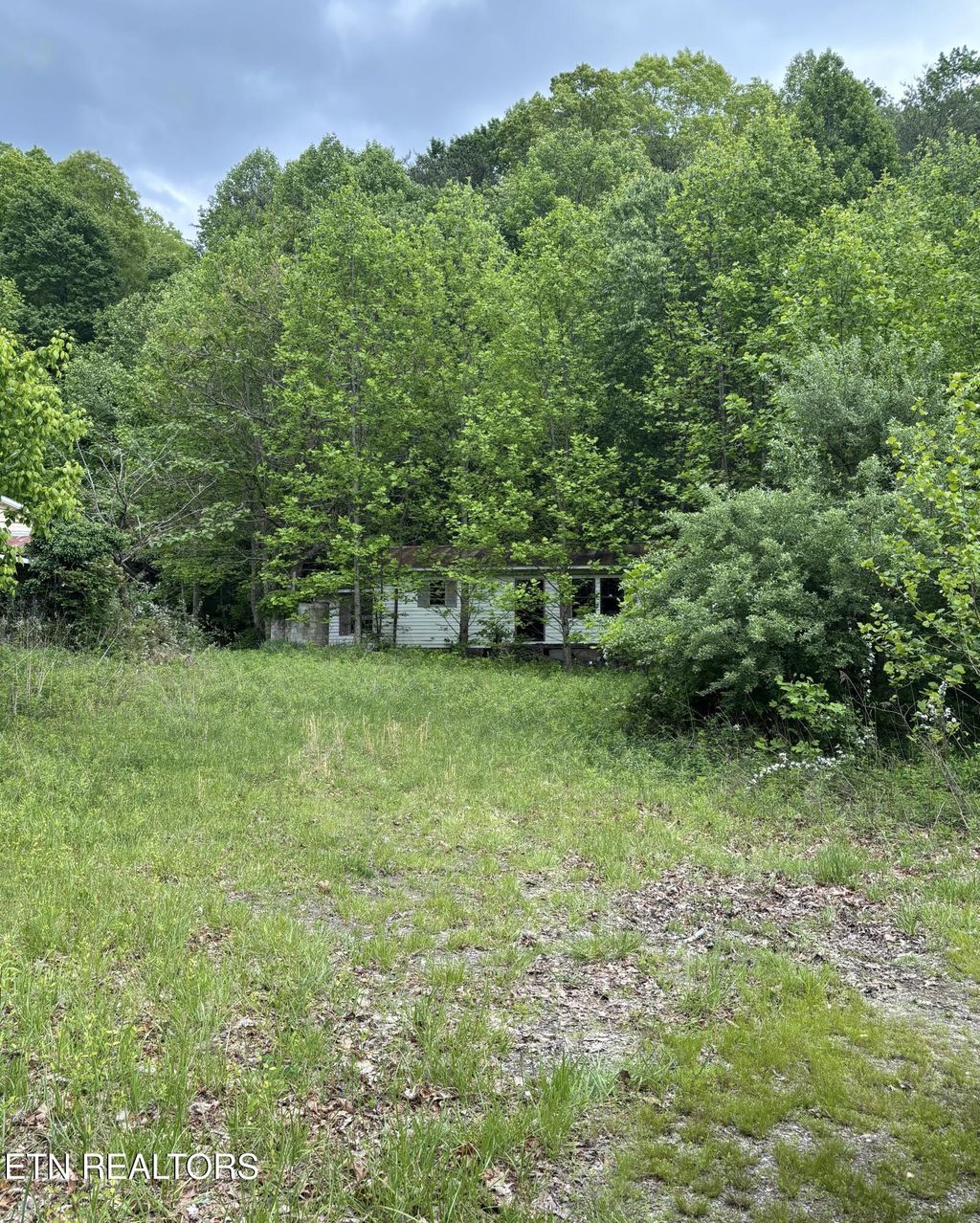 Photo of 307 Huckleberry Lane, Duff, TN 37729 (MLS # 1339890)