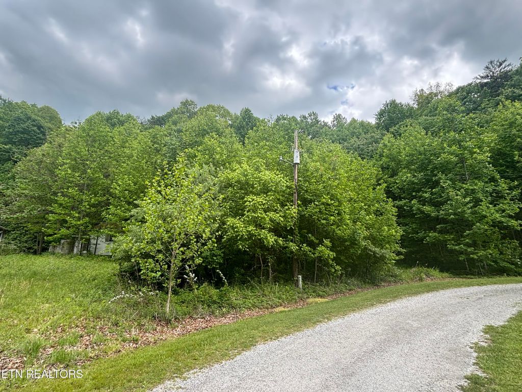 Photo of 307 Huckleberry Lane, Duff, TN 37729 (MLS # 1339890)