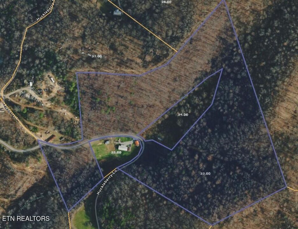 Photo of 307 Huckleberry Lane, Duff, TN 37729 (MLS # 1339890)