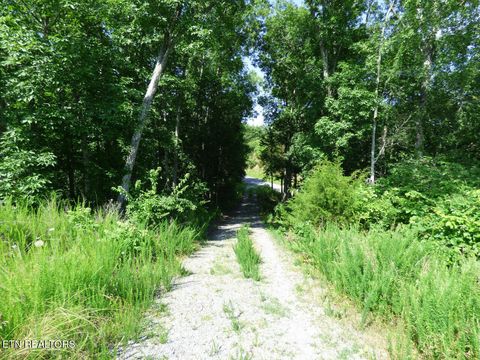 Tiny photo for 32 Tranquility Tr, Dandridge, TN 37725 (MLS # 1332840)