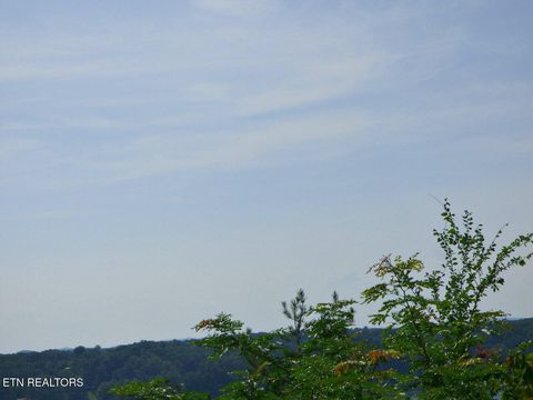 Tiny photo for 32 Tranquility Tr, Dandridge, TN 37725 (MLS # 1332840)