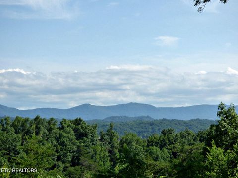 Tiny photo for 32 Tranquility Tr, Dandridge, TN 37725 (MLS # 1332840)