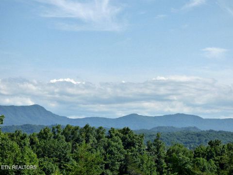 Tiny photo for 32 Tranquility Tr, Dandridge, TN 37725 (MLS # 1332840)