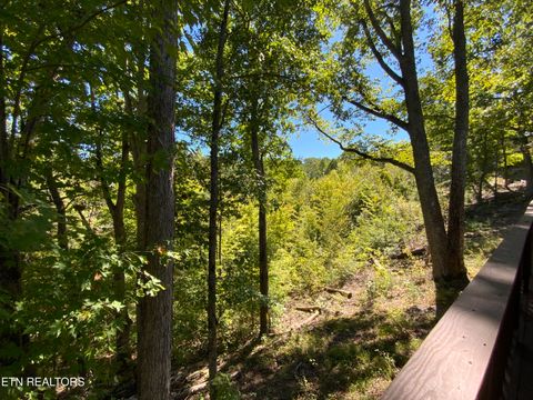 Tiny photo for 3740 Ivy Way, Sevierville, TN 37876 (MLS # 1317672)