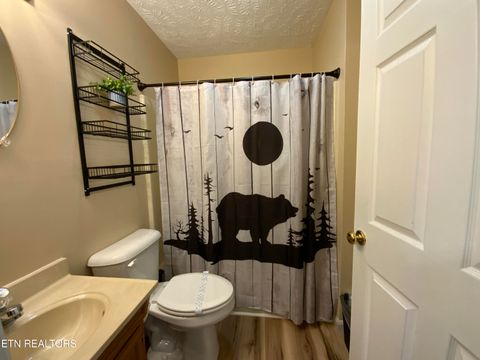 Tiny photo for 3740 Ivy Way, Sevierville, TN 37876 (MLS # 1317672)