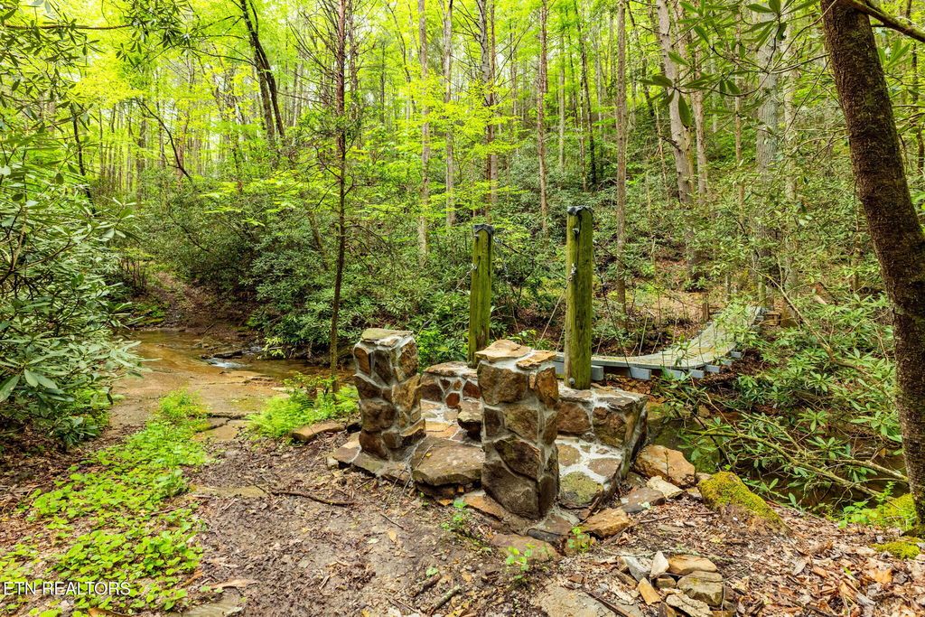 Photo of 1854 Catoosa Rd, Wartburg, TN 37887 (MLS # 1320316)