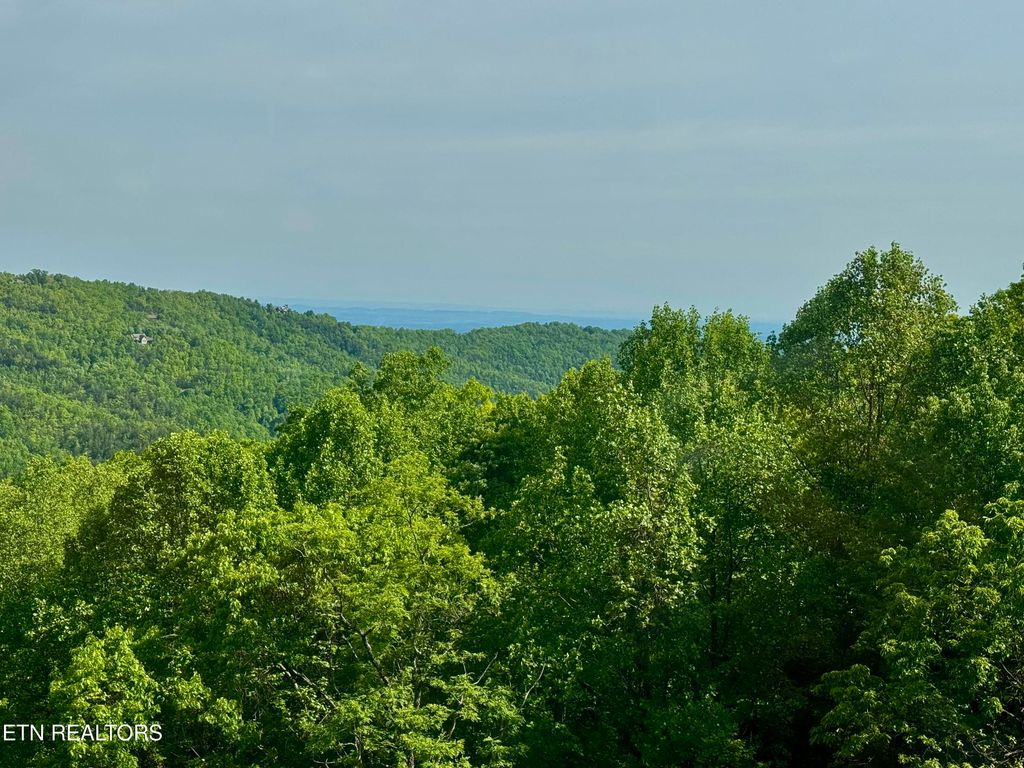 Photo of 1102 Ski View Drive #UNIT 306, Gatlinburg, TN 37738 (MLS # 1339779)