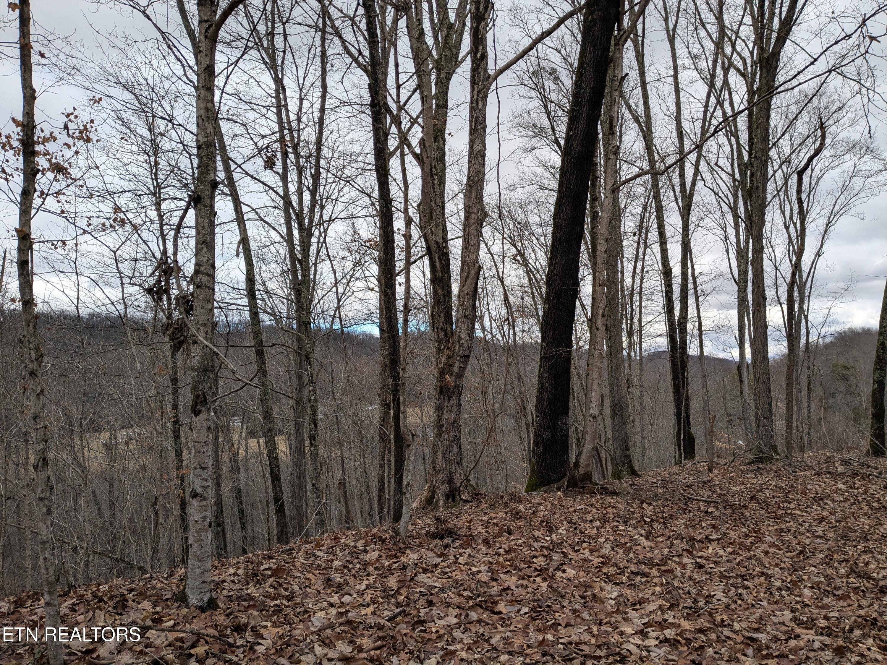 0 French Mill Rd