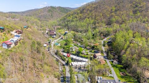 Tiny photo for 260 Roaring Fork Rd #220, Gatlinburg, TN 37738 (MLS # 1342124)