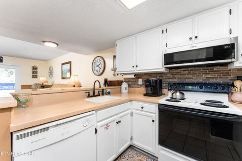 Tiny photo for 260 Roaring Fork Rd #220, Gatlinburg, TN 37738 (MLS # 1342124)