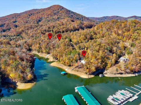 146 Paradise Point New Tazewell TN 37825