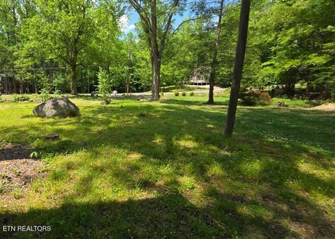 Tiny photo for 4438 E Scenic Drive, Gatlinburg, TN 37738 (MLS # 1343279)