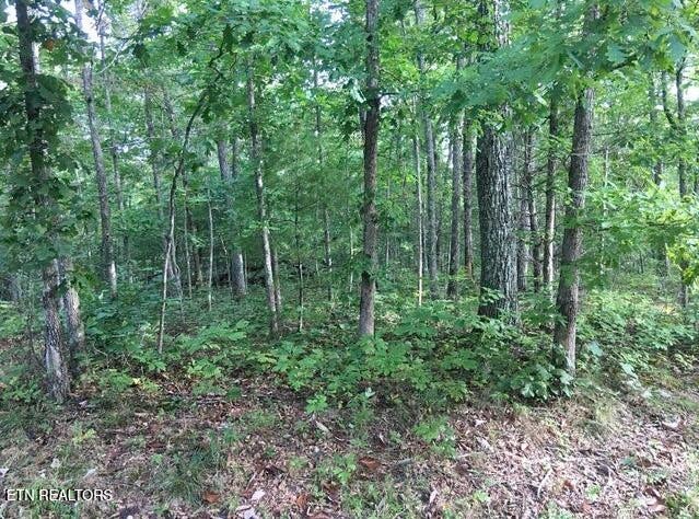 Photo of 106 Liverpool Circle, Crossville, TN 38558 (MLS # 1358699)