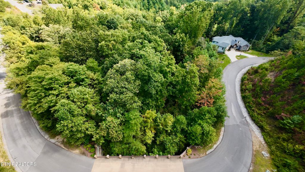 Photo of 154 Summit Trails Drive, Sevierville, TN 37862 (MLS # 1338187)