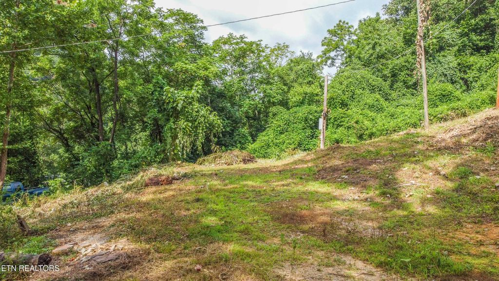 Photo of 262 Ballfield Rd, Oakdale, TN 37829 (MLS # 1309680)