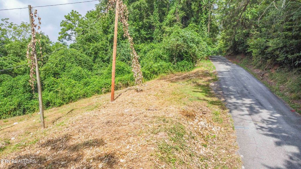 Photo of 262 Ballfield Rd, Oakdale, TN 37829 (MLS # 1309680)
