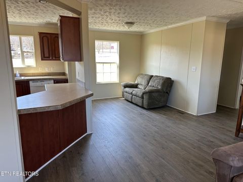 Tiny photo for 165 Tower Rd, Grandview, TN 37337 (MLS # 1330327)